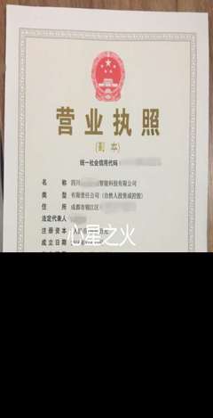 青羊區(qū)營(yíng)業(yè)執(zhí)照代辦 專業(yè)、高效、省心的商務(wù)代理服務(wù)指南