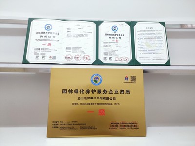 上海市企業(yè)一站式代辦服務 營業(yè)執(zhí)照、務代碼證、財務咨詢與代理記賬全解析